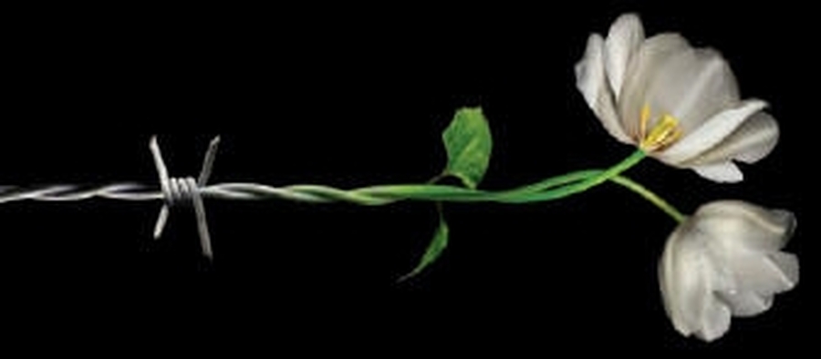 Día Internacional en memoria de las víctimas del Holocausto
