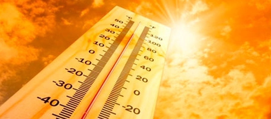 Como cuidarnos del calor
