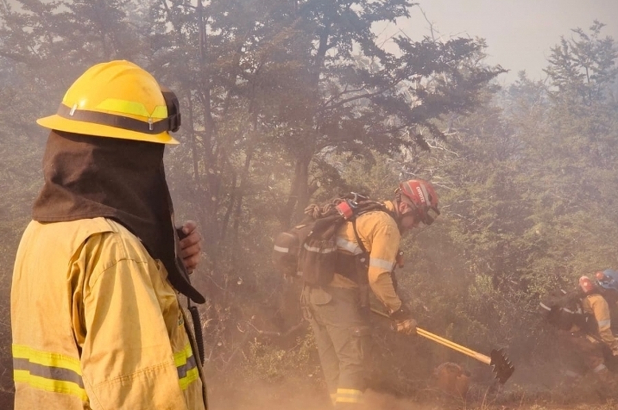 Brigadistas santafesinos ya combaten los incendios forestales en Puerto Patriada, en Chubut