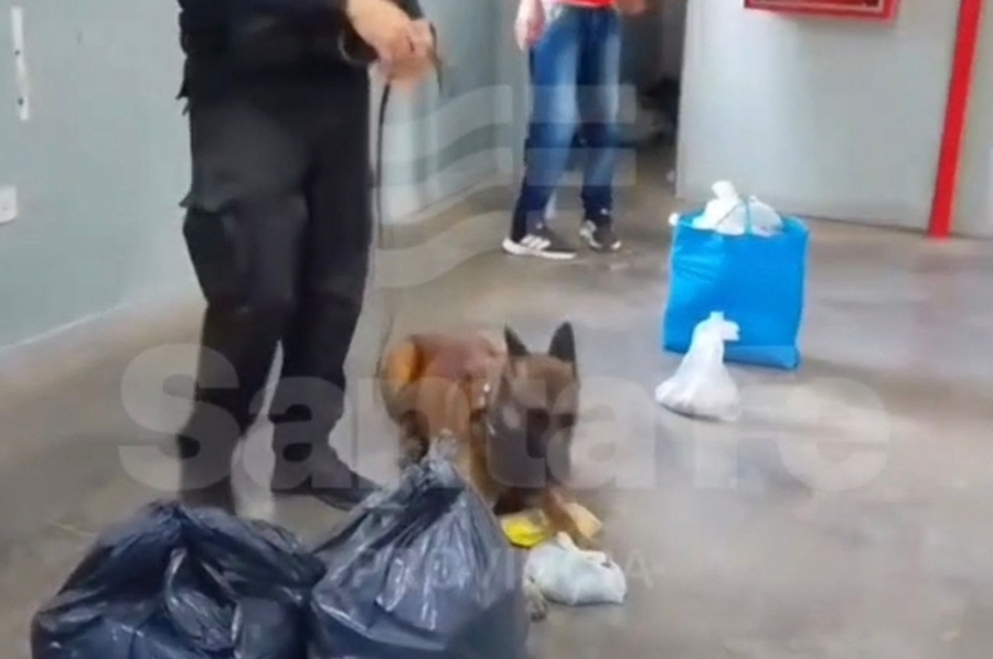 Controles en las cárceles: detectaron marihuana y cocaína ocultas entre pertenencias de visitantes al penal de Las Flores