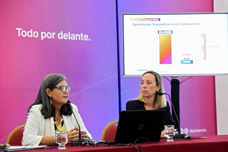 Ghilotti: “La quita de subsidios al transporte aumenta la desigualdad”