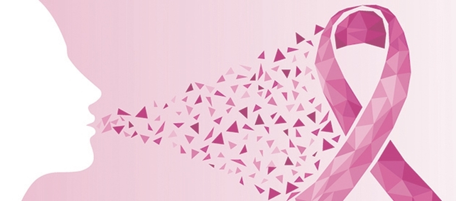 En Rafaela estará presente Punto Rosa