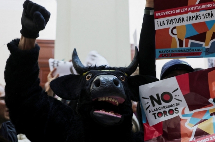 Colombia aprobó un proyecto de ley que prohíbe las corridas de toros en todo el país