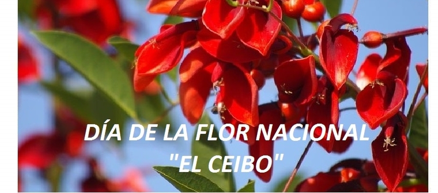 Día de la Flor Nacional 