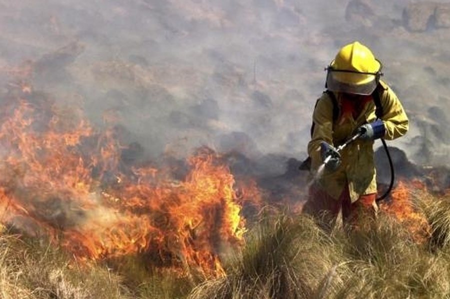 Incendios incontrolables en Córdoba: hay evacuados y viviendas quemadas en el Durazno