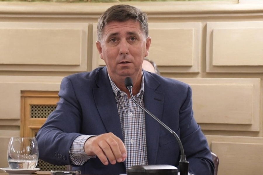 Pirola: “La reforma no puede ser funcional a un sector, debe reflejar a cada comunidad
