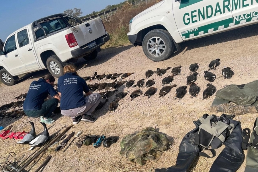 Turistas extranjeros demorados por cazar ilegalmente en el norte de la provincia de Santa Fe