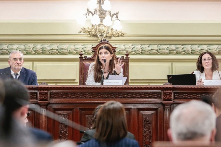 Comisión Funcionamiento del Estado y participación ciudadana: el 4 de agosto se realizará una audiencia pública