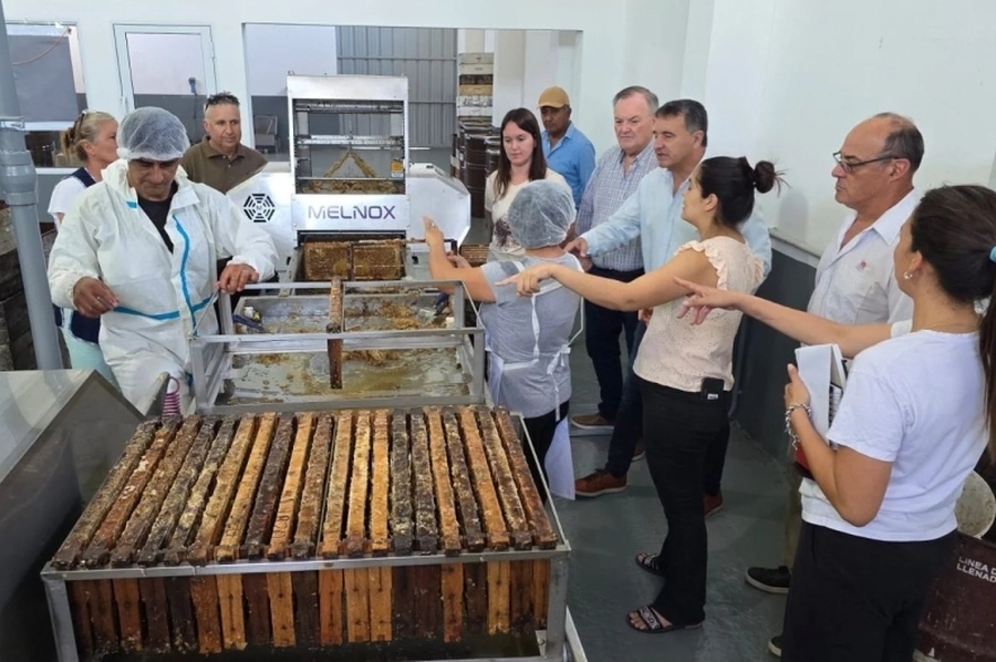Michlig visitó una nueva Sala de Extracción de Miel en Ambrosetti