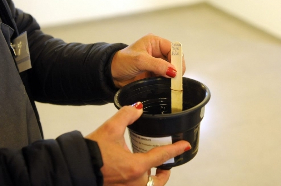 Se notificaron 71 casos sospechosos de dengue en Santa Fe pero ninguno confirmado