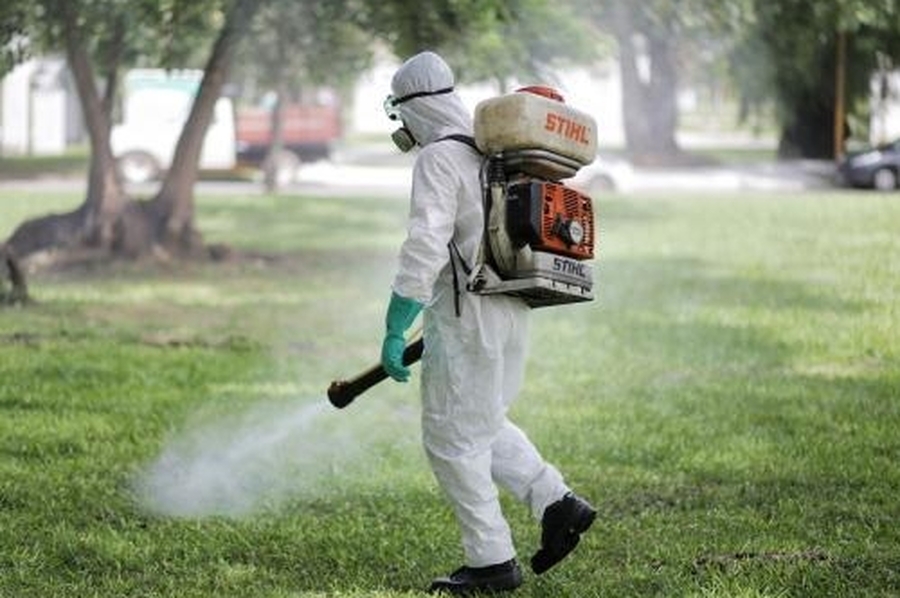 Se detectó el primer caso de dengue del año en la ciudad de Santa Fe