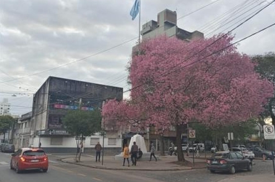La previa de la primavera llega con frío, jornada gris y probabilidad de lluvias