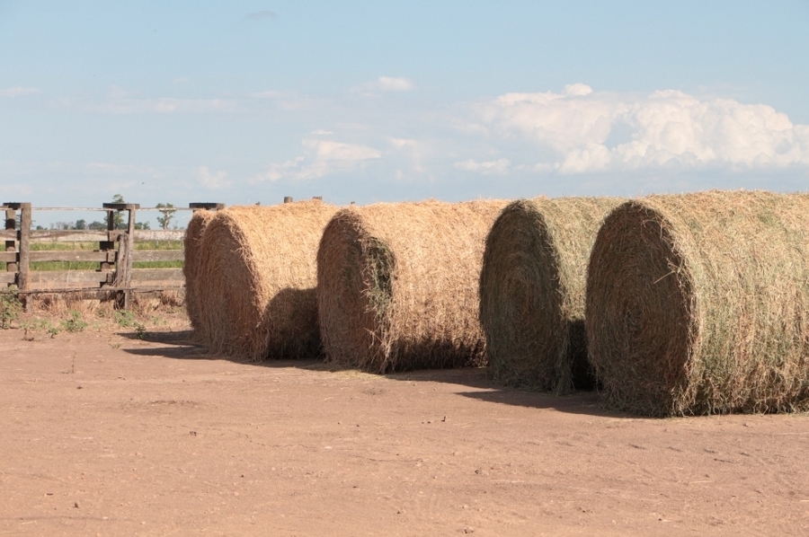 Ofrecen créditos con tasa bonificada por $5.000 mil millones al sector agropecuario