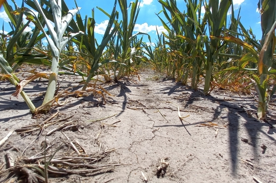 La provincia implementa una línea de financiamiento para productores afectados por la sequía