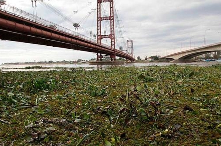 El INA admite un nuevo “pulso de crecida” por severas lluvias entre Puerto Iguazú y Yacyretá