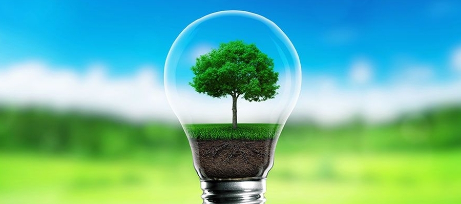 Día Mundial de la Eficiencia energética