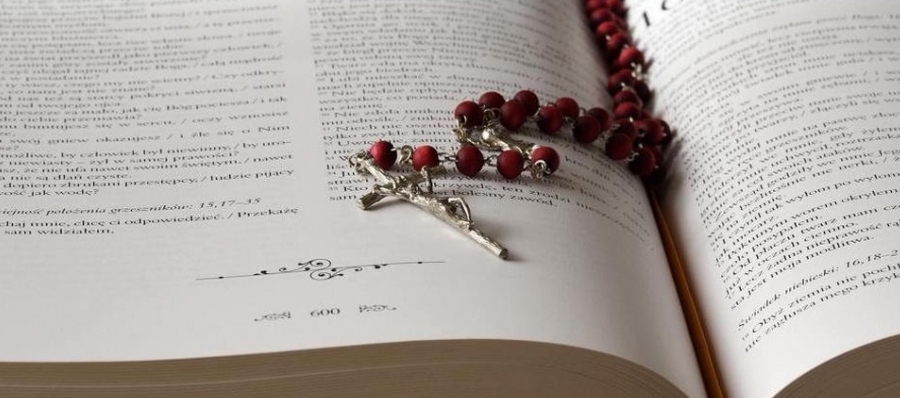 Día de la Biblia