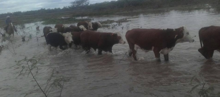 Suspenden la retención de ganancias a productores en emergencia