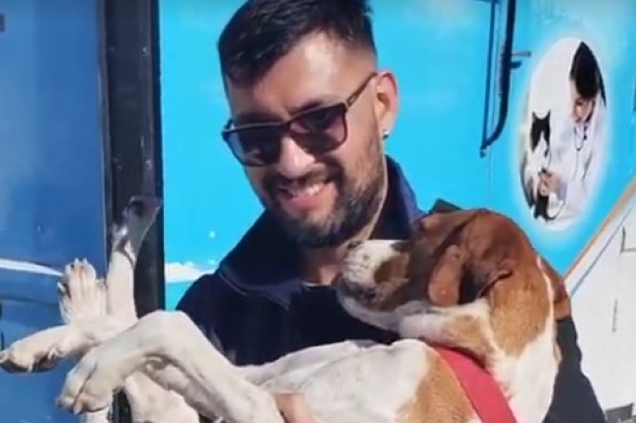 Quinta jornada de esterilizciones de mascotas en San Cristóbal