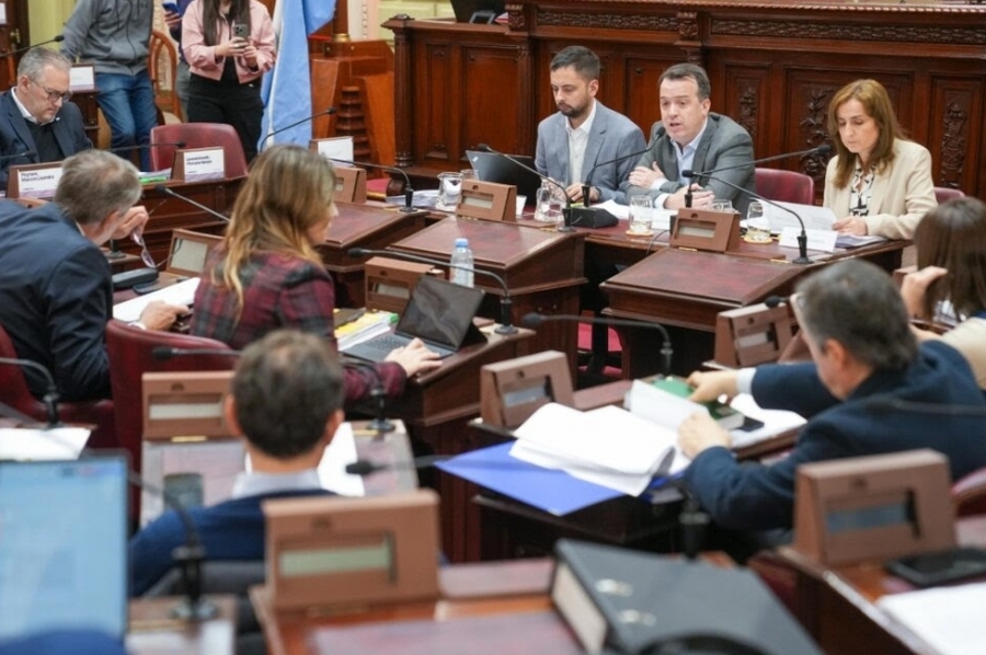 La Convención Reformadora ingresó en la etapa de redacción del nuevo texto constitucional