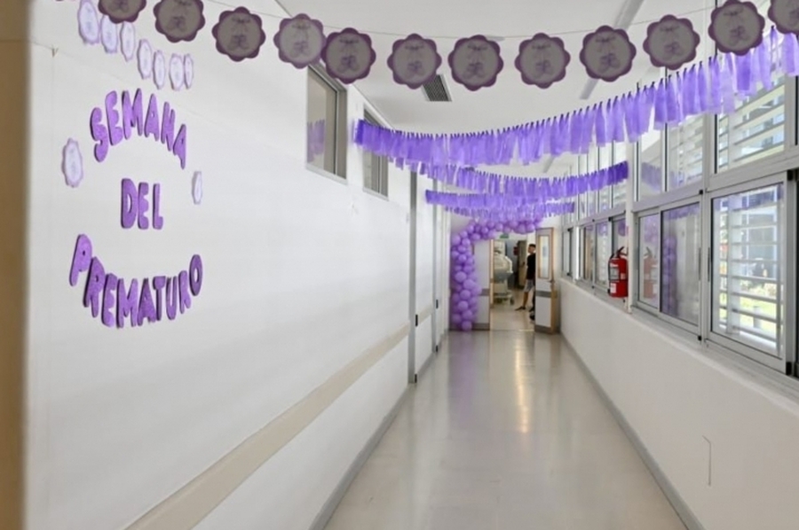 Con eje en el control del embarazo y en la regionalización de las Maternidades, Provincia conmemora la Semana de la Prematurez