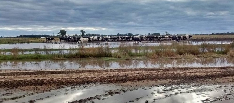 Complicada situación en el norte santafesino por las precipitaciones