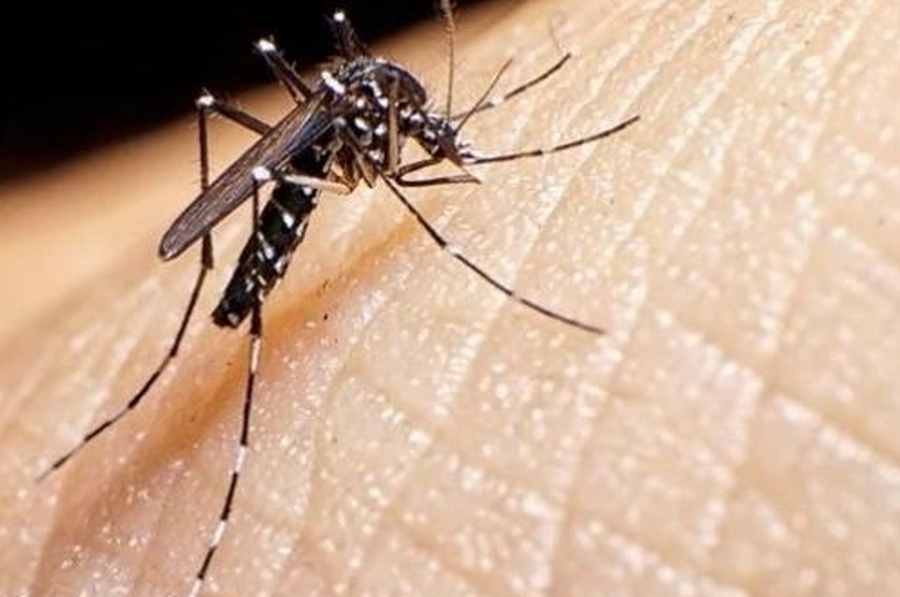 Santa Fe sumó un sexto muerto por dengue y una baja en el número de casos