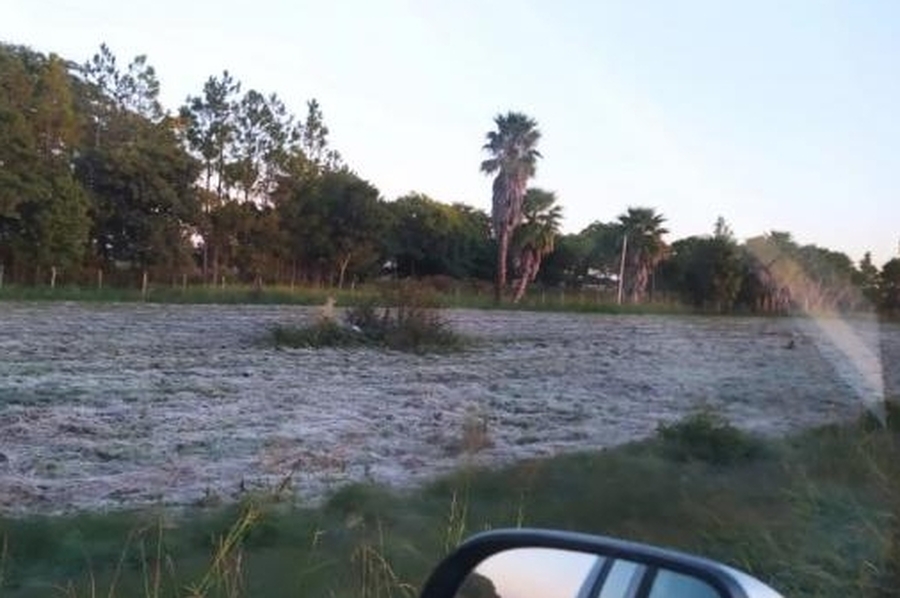 Helada otoñal: en el norte de la provincia, Calchaquí amaneció 