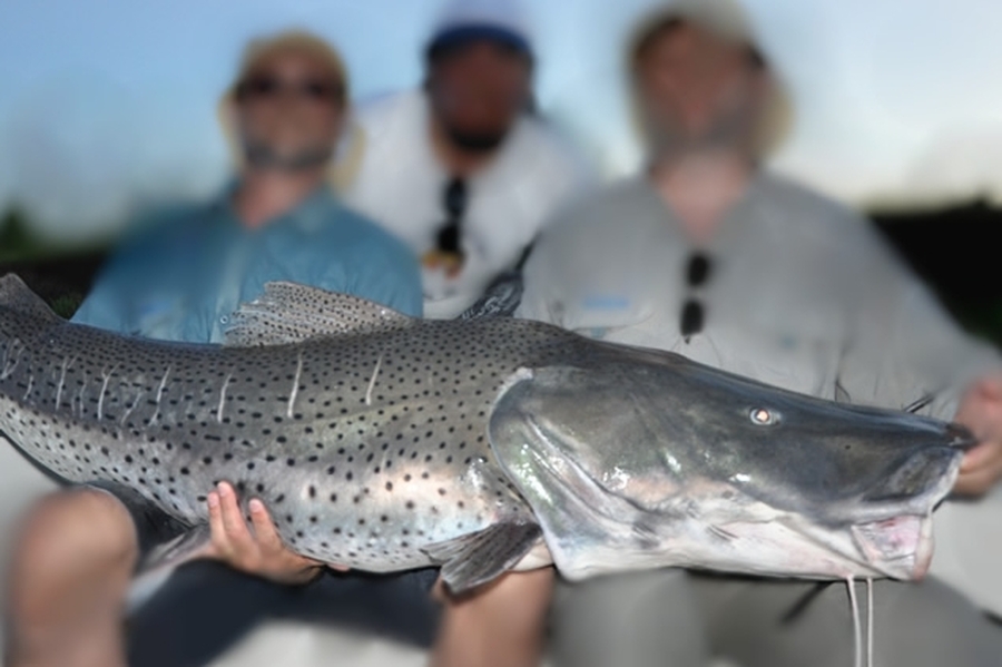 Provincia multó a pescadores por cometer infracciones a la Ley de Protección de la Fauna Ictícola