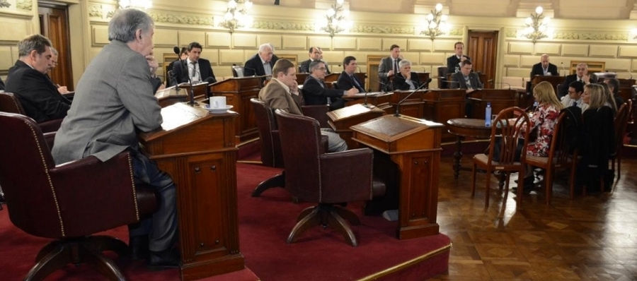 Borla propone la creación de nueva carrera terciaria