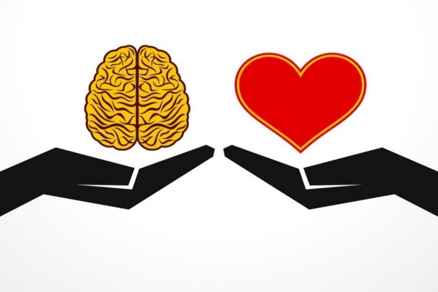 ¿Quiénes son los mas inteligentes?