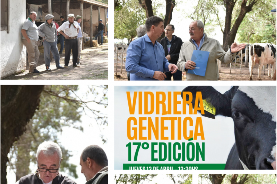 El Senador Pirola destacó el apoyo a actividades en Las Colonias