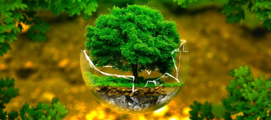 Día Mundial de la Protección de la Naturaleza
