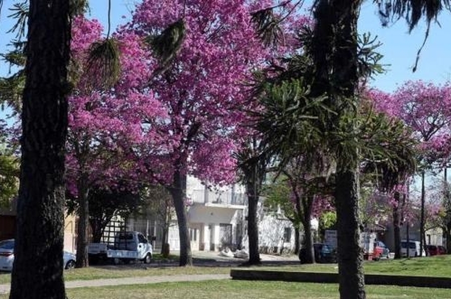 Con buen tiempo, este jueves comenzará el gradual ascenso de temperaturas