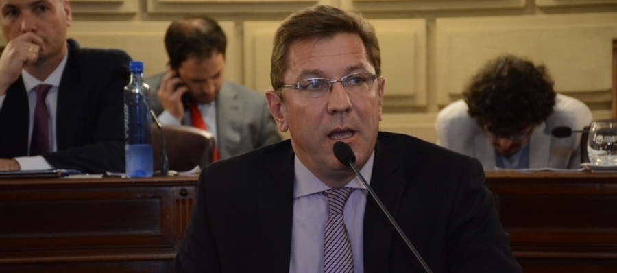 Presidirá la Comisión de Seguridad de la Cámara de Senadores Borla