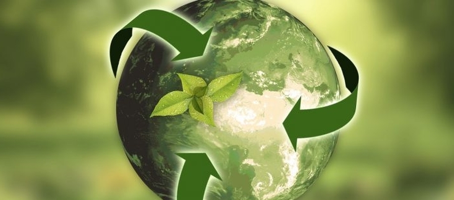 Día Mundial de los Ecologistas