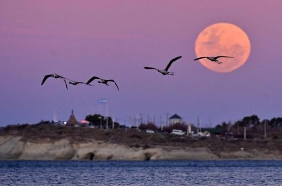 Qué es el fenómeno del Esturión, que hace que la luna llena se luzca más luminosa e impactante