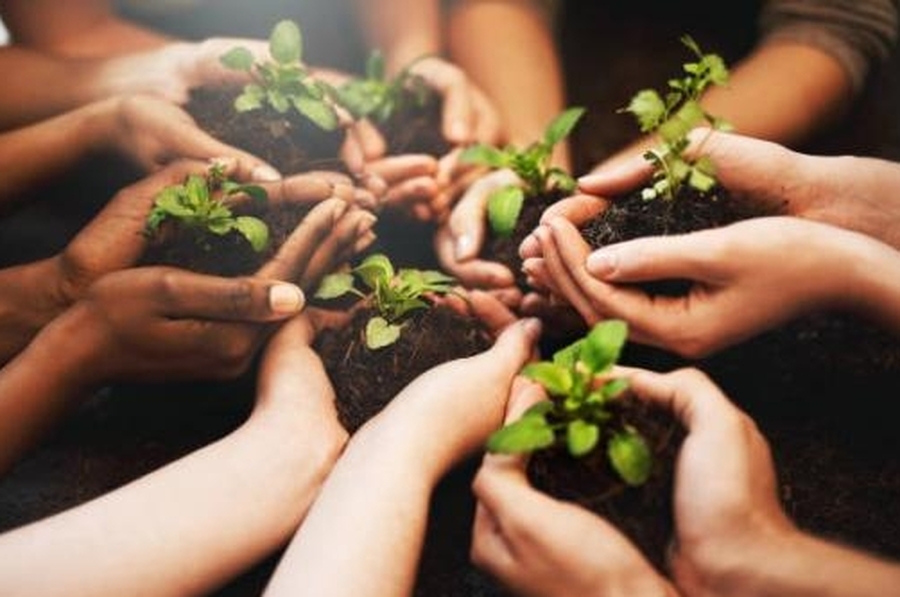 Se realiza el Encuentro Provincial de Jóvenes por el Ambiente en tres localidades santafesinas