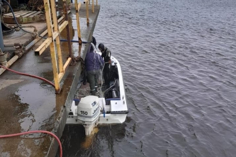 Buzos tácticos limpian las tomas de agua obstruidas por camalotes