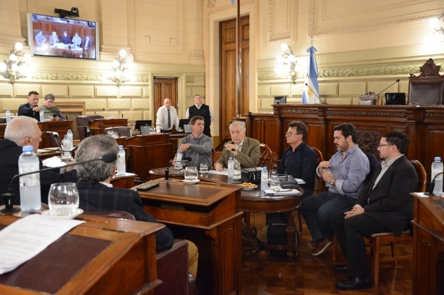 La Comisión de Asuntos Constitucionales y Legislación General se reunió con expertos en Seguridad