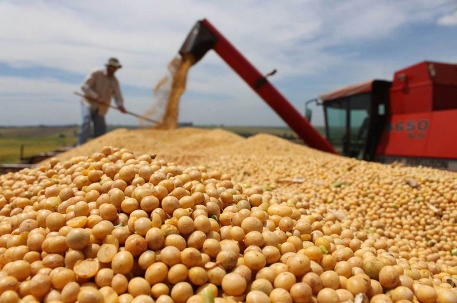 Suspendieron las exportaciones de harina y aceite de soja