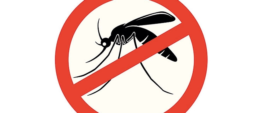 Recomendaciones ante casos de dengue