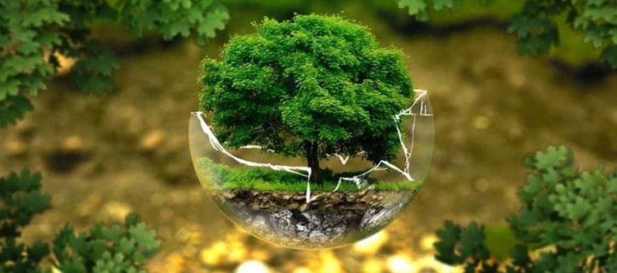 Día Mundial de la Educación Ambiental