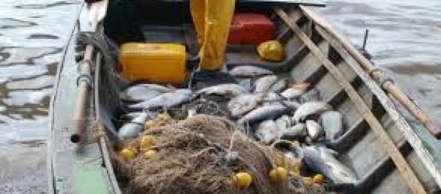 Se realizarán los relevamiento de pescadores en la provincia