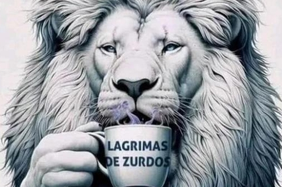 Milei utilizó las redes sociales para referirse a la marcha con un mensaje controvertido