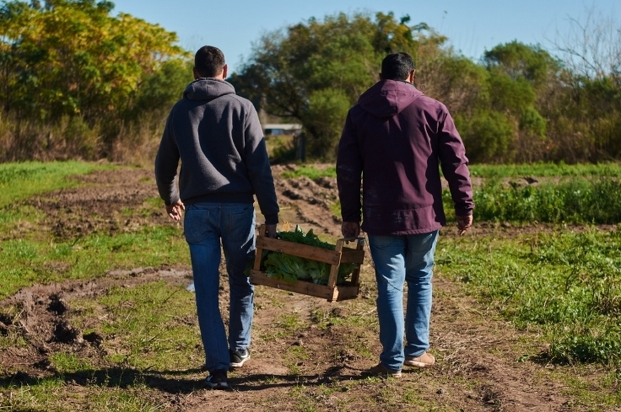 Se presentaron 79 proyectos para acceder al programa Módulos Productivos para la Agricultura Familiar