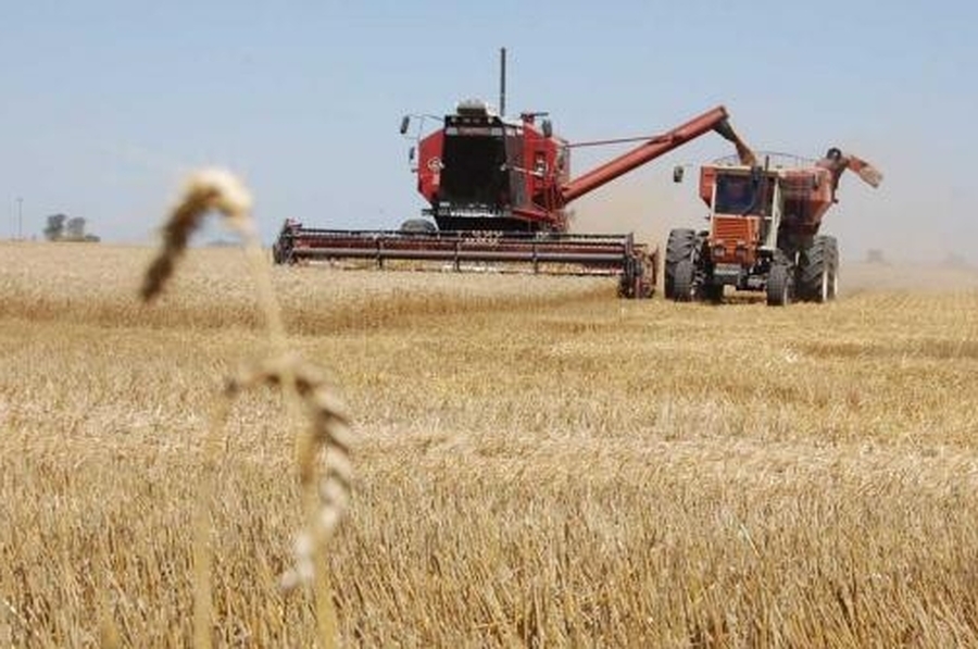 Productores santafesinos ya sembraron el 45% de la superficie prevista para el trigo