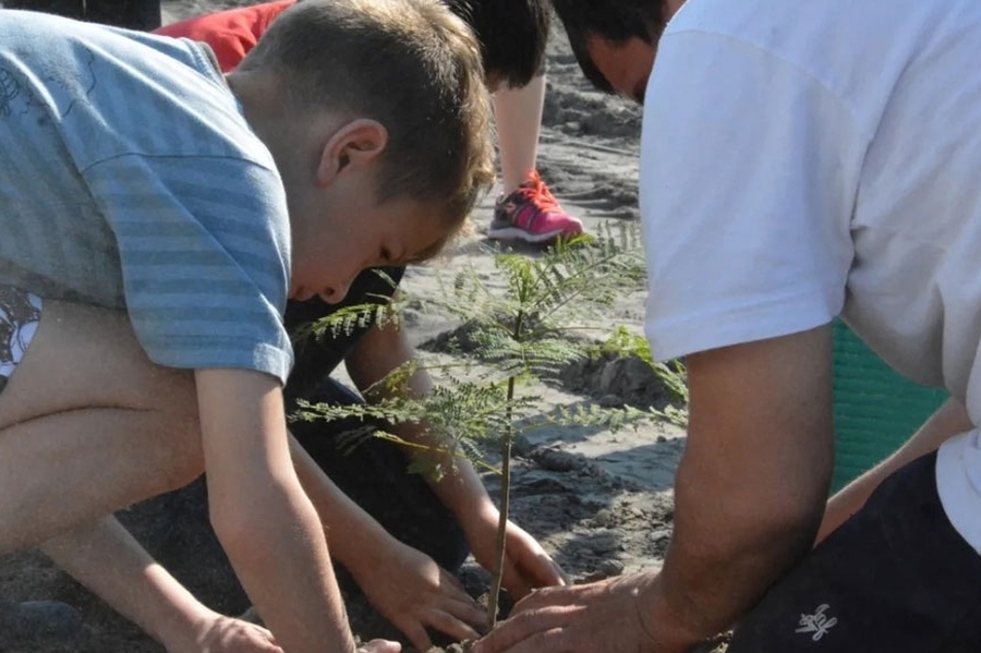 Avellaneda se transforma con acciones sostenibles