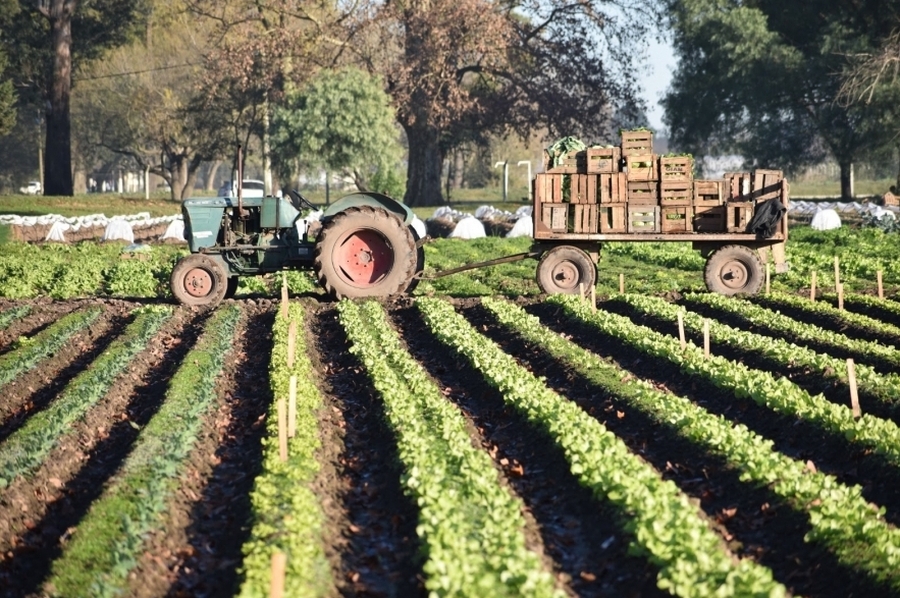 La provincia acompaña a productores frutihortícolas afectados por la sequía