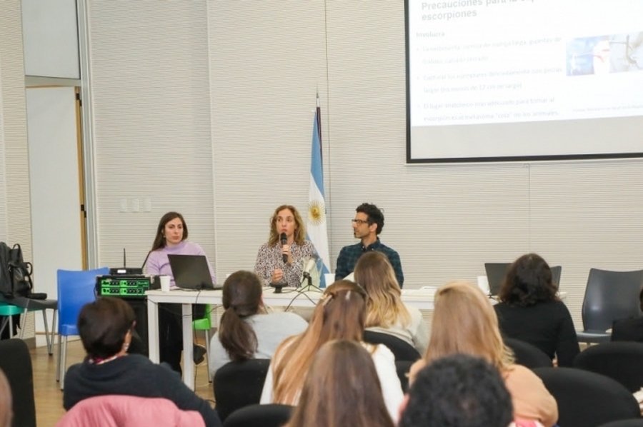 El Ministerio de Salud presentó la nueva guía de atención de alacranismo
